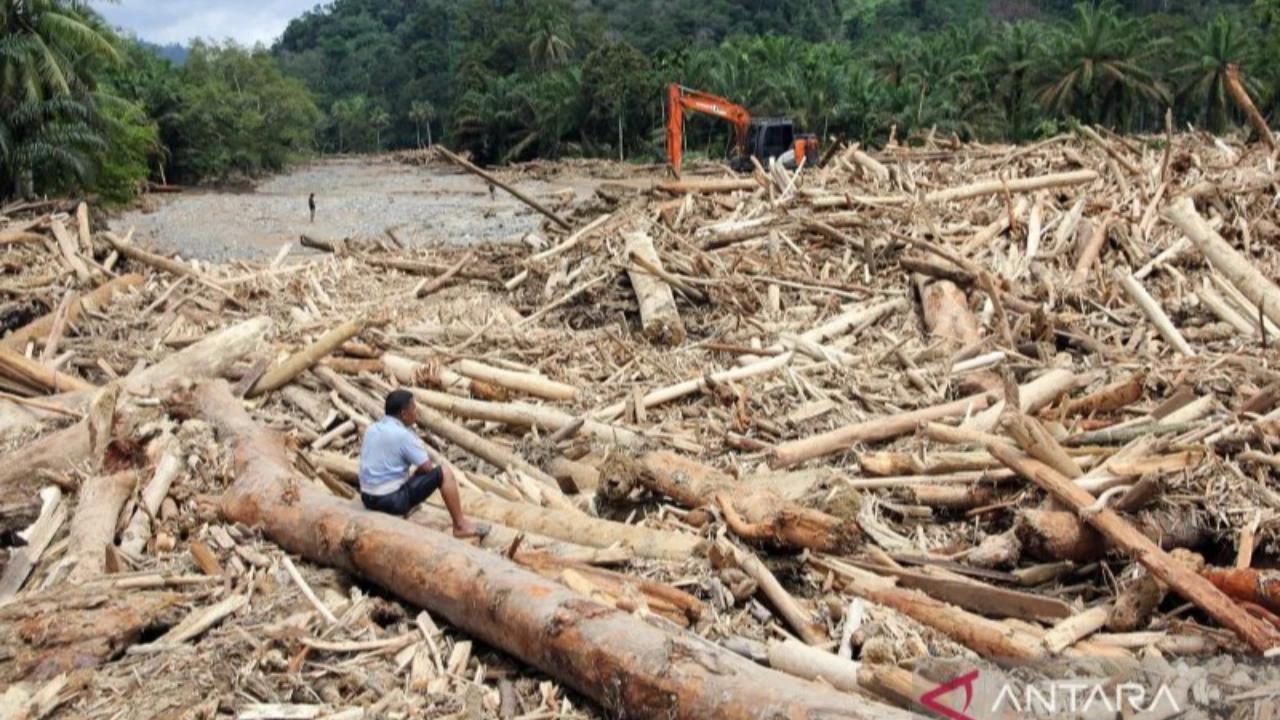 Kemenhut Respons Pernyataan Bupati Tapsel, Tegaskan Tak Ada Izin Penebangan Kayu Sejak Juli 2025