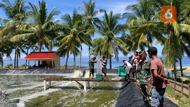 Bududaya Udang Vaname