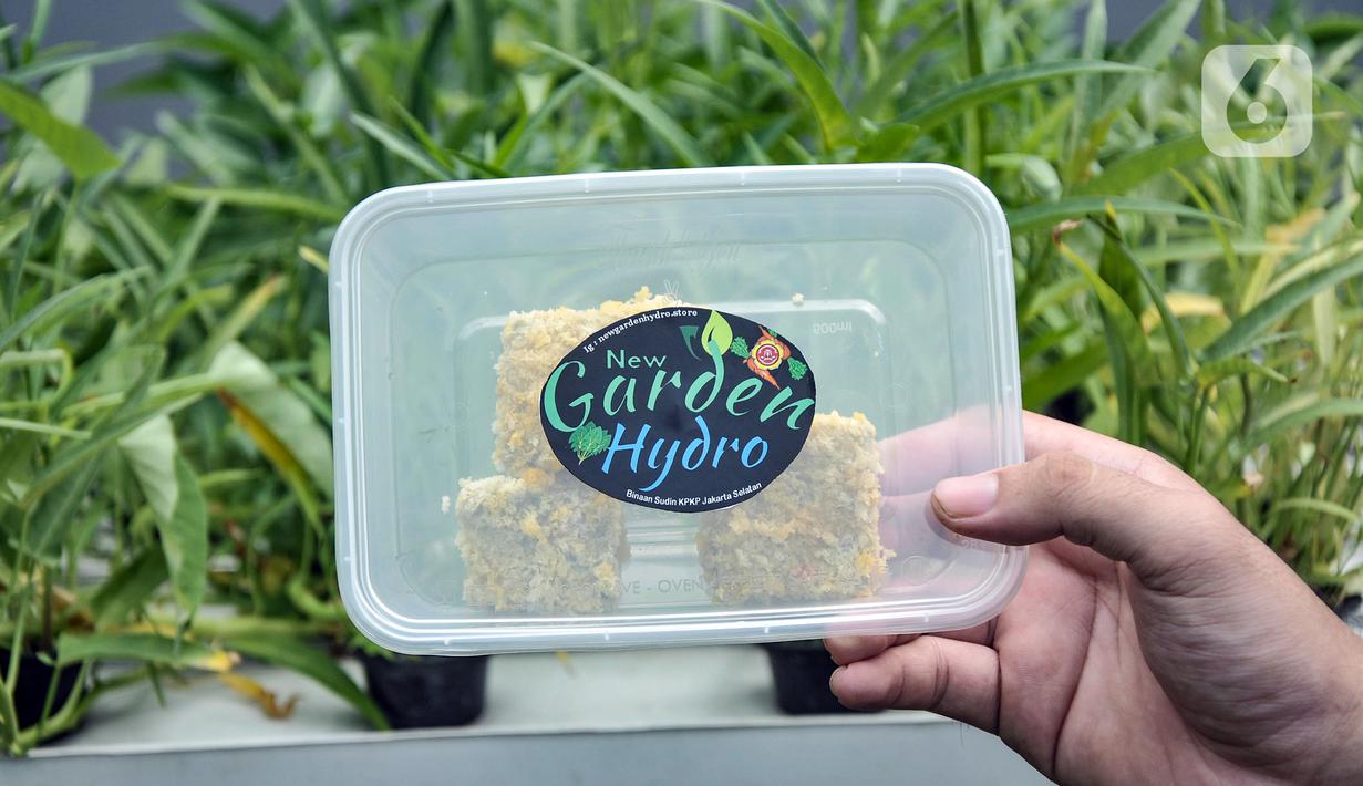 Anggota Karang Taruna RW 04 Kebon Baru saat menunjukkan produk nugget bayam hasil panen di Kebun Edukasi, Tebet, Jakarta Selatan, Selasa (19/7/2022). Untuk pakcoy, kangkung, dan bayam dijual di pasar swalayan dengan harga Rp 6.500 - Rp 7.500 per 250 gram. (merdeka.com/Iqbal S. Nugroho)