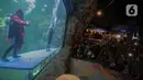 Penyelam Scuba Santa memberikan salam kepada pengunjung di Sharkquarium arena Sea World Ancol, Jakarta, Rabu  (25/12/2019). Sea World Ancol menampilkan atraksi penyelam Scuba Santa pada perayaan Natal 2019. (Liputan6.com/Faizal Fanani)