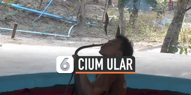 VIDEO: Pria Ini Berhasil Cium Ular, Begini Caranya