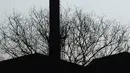 Penampakan cerobong asap pabrik peleburan baja PT Hong Xin Steel di Cakung, Jakarta, Kamis (8/8/2019). DLH DKI Jakarta memberikan sanksi bagi pabrik yang cerobong asapnya terbukti mengeluarkan emisi melebihi baku mutu. (merdeka.com/Imam Buhori)