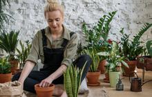 Berkebun, Obat Alami untuk Pikiran yang Lelah