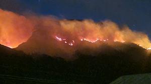 Kebakaran Hutan di Lereng Ijen Mengancam Cagar Alam dan Hutan Lindung