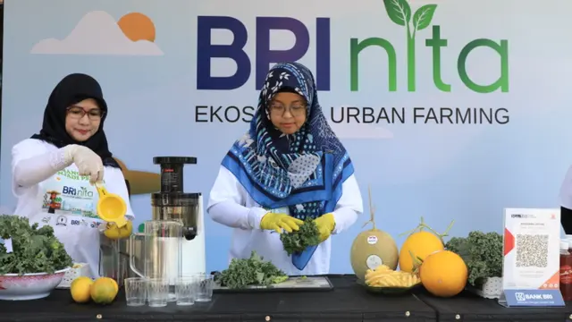 BRInita.