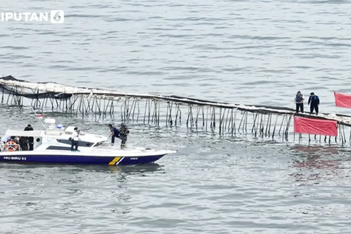 Banner Infografis Misteri Pagar Laut di Tangerang dan Bekasi