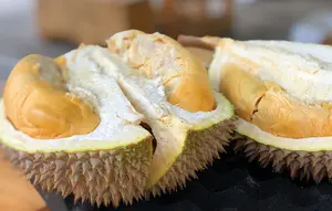 Cara Memilih Durian Matang dan Manis, Perhatikan 7 Tanda Ini