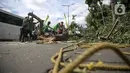 Petugas Suku Dinas Kehutanan Jakarta Timur menebang pohon di sisi jalan raya Bogor, Jakarta, Kamis (9/3/2023). Hal tersebut untuk mengurangi resiko terjadinya bahaya mengingat hujan dan angin kencang yang beberapa kali melanda ibu kota. (Liputan6.com/Faizal Fanani)