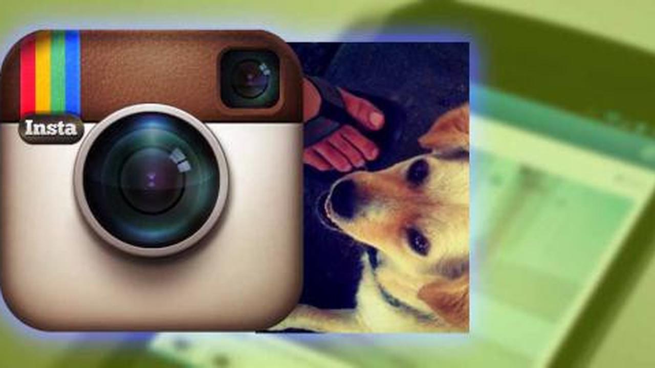 Model pertama foto Instagram bukan manusia