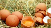 Manfaat Cangkang Telur untuk Suburkan Tanaman, Ini Cara Pakai yang Benar