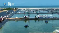 KKP Kembangkan Tambak Udang Modern Terbesar di Indonesia