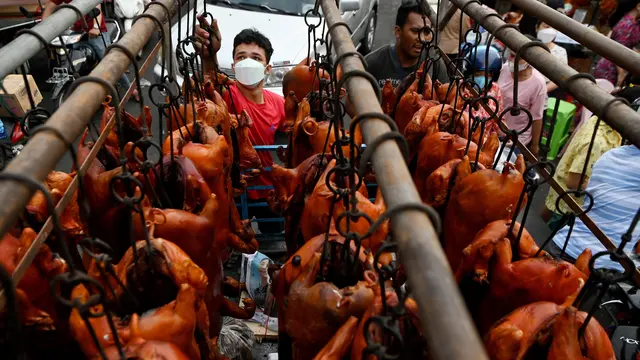 Warga Kamboja Berburu Babi Panggang untuk Sajian Imlek