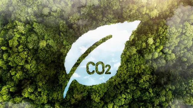 PTPN IV PalmCo Bidik Turunkan 40% Emisi Karbon di 2030