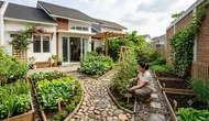 9 Inspirasi Desain Kebun Sayur Belakang Rumah, Halaman Lebih Asri dan Produktif