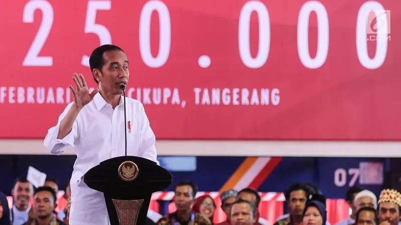 Presiden Jokowi Lepas Kontainer Ekspor Mayora ke-250 Ribu
