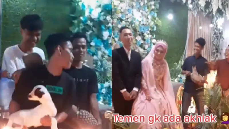 Viral, Aksi Nyeleneh Sumbang Hewan Ternak saat Resepsi Pernikahan