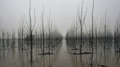 Kabut menutupi lanskap di daerah banjir dekat Sungai Ebro di desa kecil Alcala de Ebro, provinsi Aragon, Spanyol utara (13/12/2021). Hujan deras menyebabkan banjir di Spanyol utara. (AP Photo/Alvaro Barrientos)