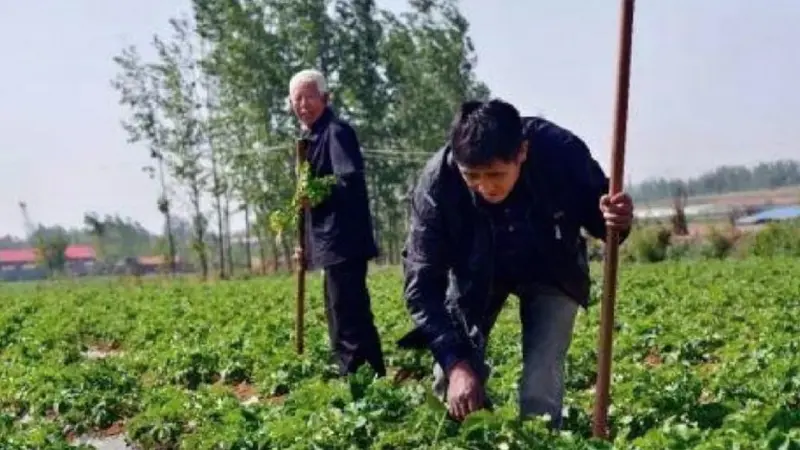 Pelaku Tabrak Lari Jadi Petani Cari Biaya untuk Korban