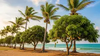 7 Pohon Buah untuk Rumah Dekat Pantai yang Tahan Angin Asin, Tetap Bisa Berbuah