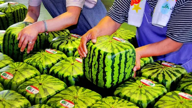 6 Potret Buah Termahal di Dunia dengan Bentuk Aneh, Ada yang Hampir 2 Miliar