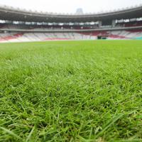Yunus Nusi Kaget Dengar Rumput SUGBK Harus Diperbaiki untuk Timnas Indonesia Vs Oman yang Menyeret Persija: Hanya Kesalahpahaman