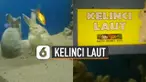 Seorang pemuda dibuat kaget ketika menemukan kelinci laut di akuarium.