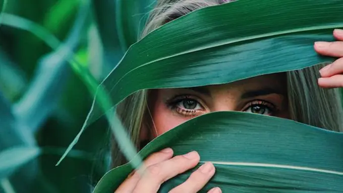 copyright pexels.com/Noelle Otto