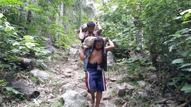 Potret Buruh Kijang Pengangkut Stok Emas di Gorontalo