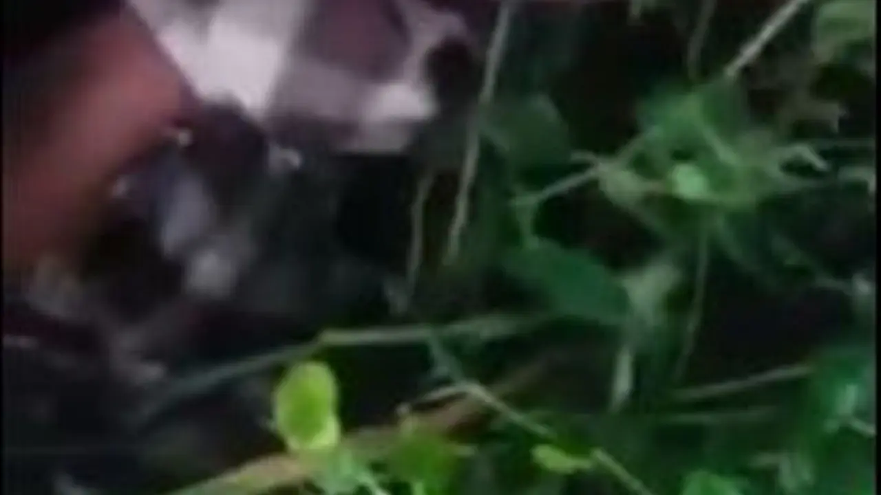 Geger! Warga Bekasi Temukan Bayi Merah di Belakang Rumah Kosong