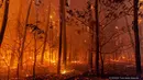 Pemandangan kebakaran hutan dekat Landiras, Prancis barat daya, 17 Juli 2022. Petugas pemadam kebakaran berjuang melawan kebakaran hutan yang berkobar di luar kendali di Prancis dan Spanyol ketika Eropa layu di bawah gelombang panas luar biasa ekstrem. (SDIS 33 via AP)