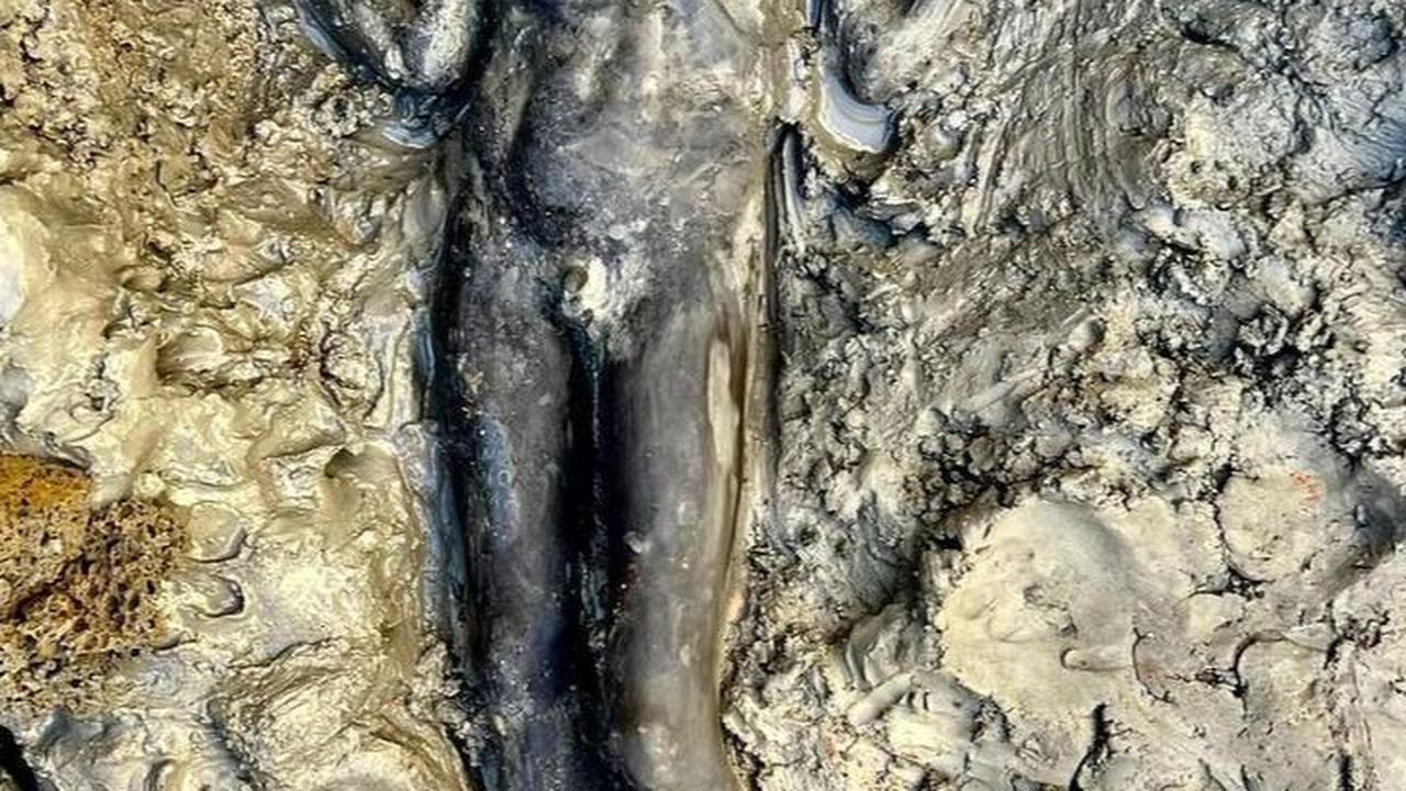 Menariknya, patung-patung ini mengungkapkan kemungkinan adanya ritual unik di mana patung-patung tersebut sengaja direndam dalam air panas.<br><br>Foto: Kementerian Kebudayaan Italia