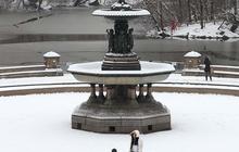 FOTO: Momen Kota New York Akhirnya Diguyur Hujan Salju Pertama Setelah 700 Hari