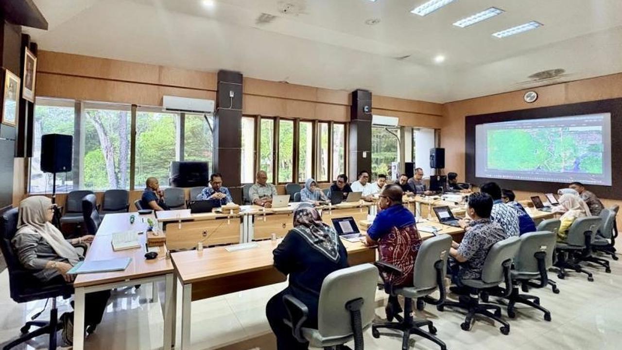 Dishut Kalsel Perkuat Sentra Kayu dan Rehabilitasi Mangrove Demi Kelestarian Hutan dan Ekonomi Lokal