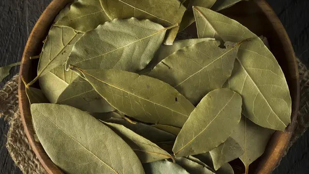 15 Manfaat Daun Kelor untuk Kesehatan Tubuh dan Efek Sampingnya