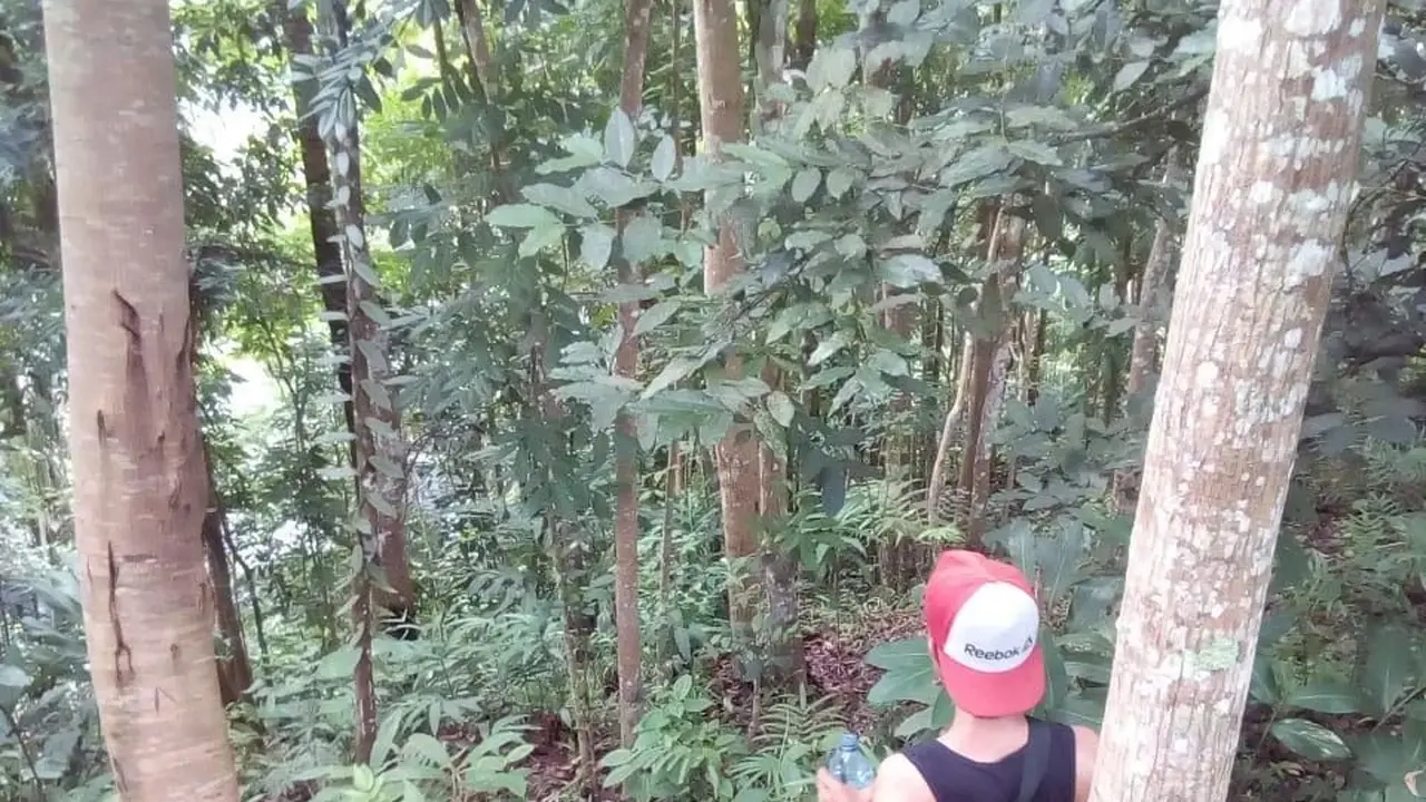 Desa Wadas terletak di Kecamatan Bener, Kabupaten Purworejo, Jawa Tengah