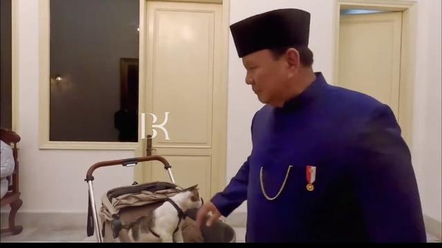 Prabowo Jadi Presiden, Bobby si Kucing Dapat Kamar Baru di Istana