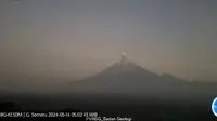 Gunung Semeru Erupsi Lagi, Lontarkan Abu Vulkanik Setinggi 600 Meter