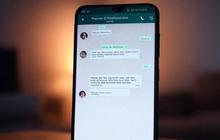 Cara Mengembalikan Chat WhatsApp yang Terhapus
