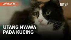 Seekor kucing mendadak jadi pusat perhatian di Inggris. Hewan tersebut berhasil selamatkan nyawa pemiliknya saat hilang kesadaran dengan membunyikan alarm.