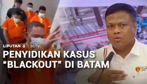 Lima Orang Jadi Tersangka Blackout Batam-Bintan, Gangguan Diduga Akibat Hewan Liar