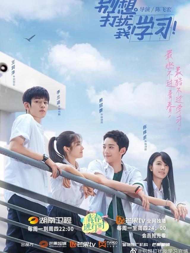 Don't Disturb My Study (2021)