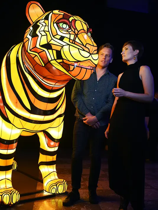 Seniman Lucy Keeler (kanan) dan Nicholas Tory berdiri disamping instalasi harimau Sumatera saat peluncuran Vivid Sydney, Australia (17/3). Instalasi harimau Sumatera ini merupakan karya seniman Australia Lucy Keeler dan Nicholas Tory. (AFP/William West)