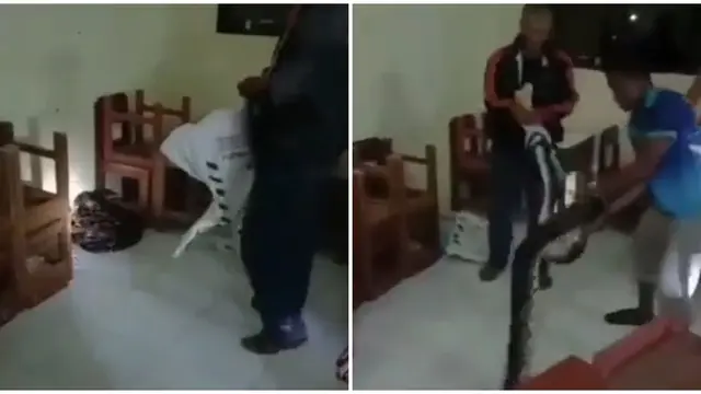 Tak Digunakan Selama Pandemi, Ular Piton 6 Meter Ditemukan di Kelas