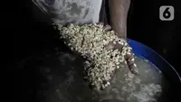 Pemerintah Subsidi Kedelai Rp 2.000 per Kg, Harga Tempe Diharap Stabil