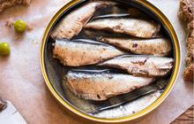 Ikan Kaleng Bakal Masuk dalam Daftar Makan Bergizi Gratis