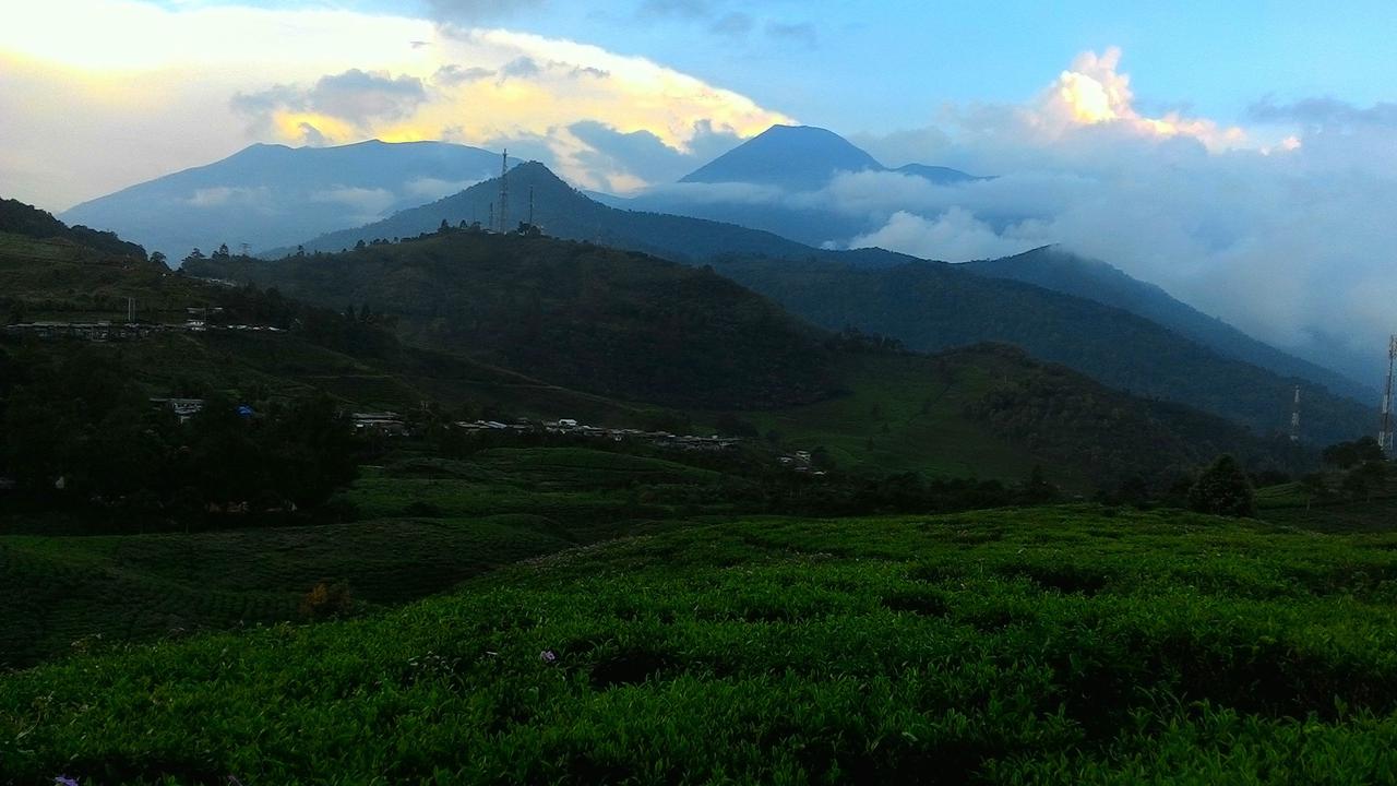 Jalur Pendakian ke Gunung Gede-Pangrango kembali Dibuka, Pendaki Dilarang Dekati Kawah Wadon