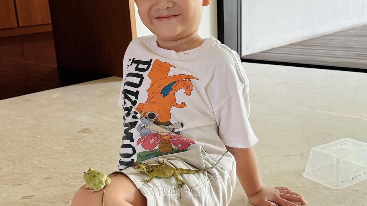 Kumpulan Hewan Peliharaan Athar Anak Citra Kirana dan Rezky Aditya, Ada Katak sampai Iguana