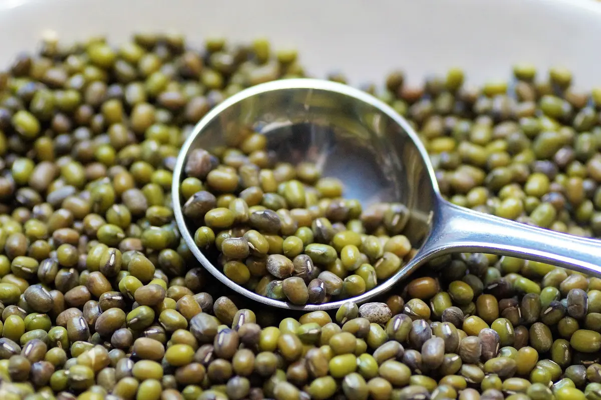 Tips Masak Bubur Kacang Hijau Lembut dan Matang Sempurna, Perlu Dicoba