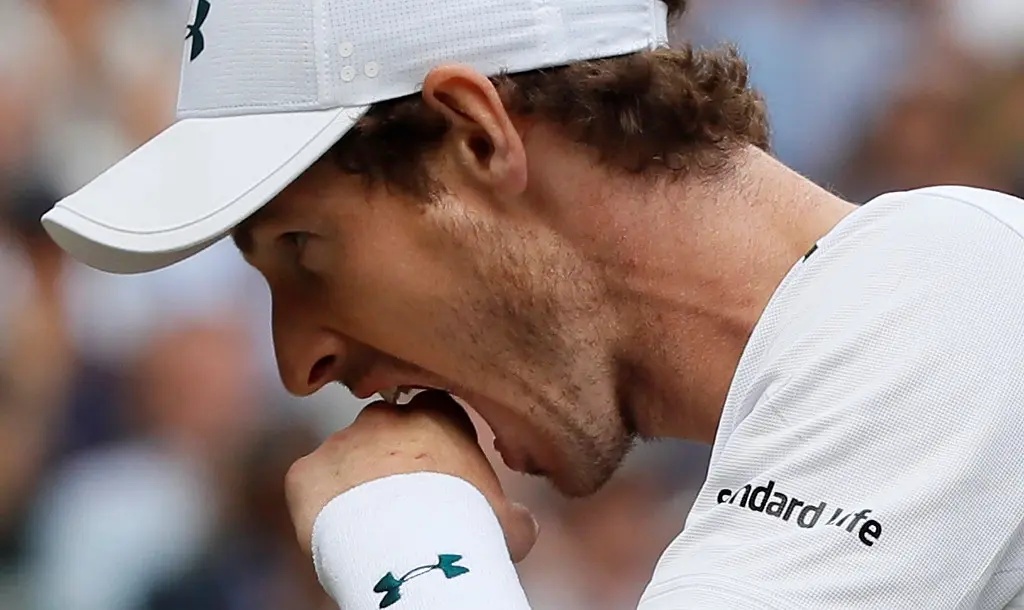 Andy Murray (AFP)