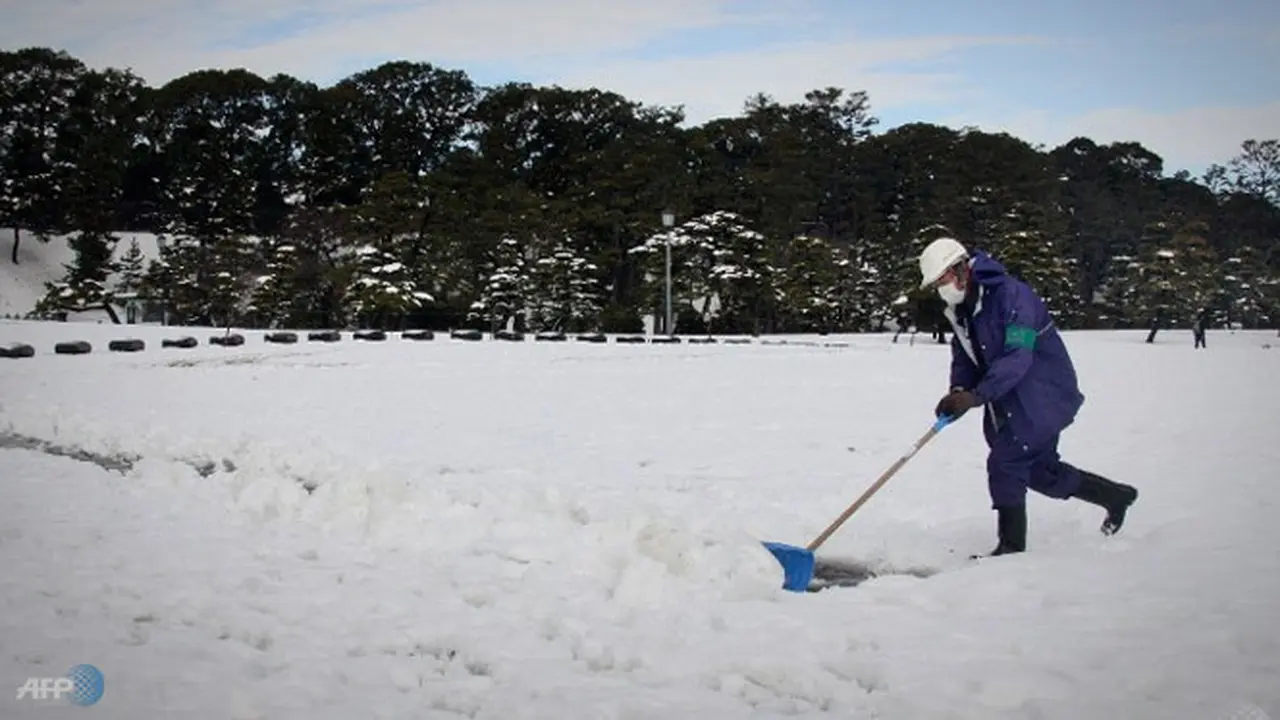salju-jepang-140209c.jpg